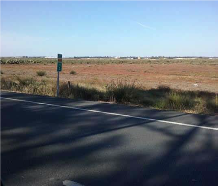 carretera 2.png